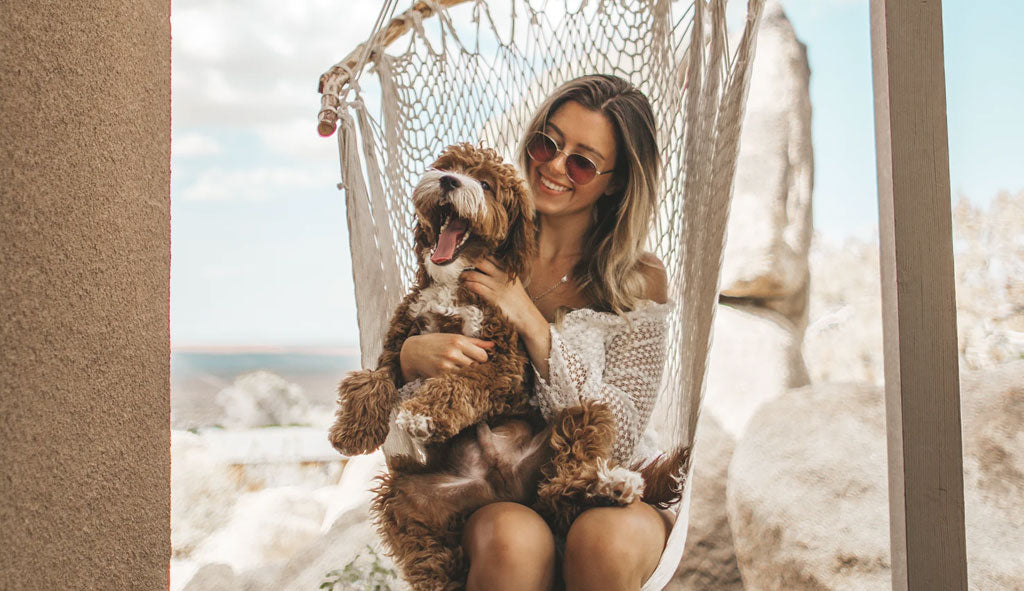 Do Not Overfeed Your Pet